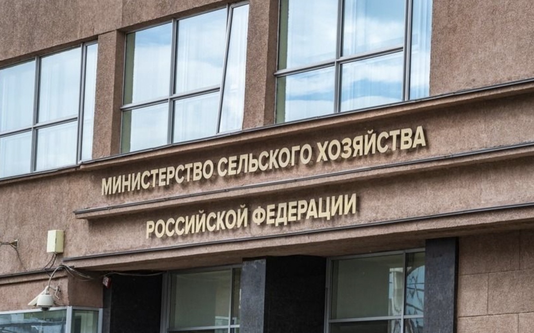 При Минсельхозе создается молодежный совет, под эгидой которого совместно с Росмолодежью будет сформировано новое молодежное движение, которое охватит учеников…