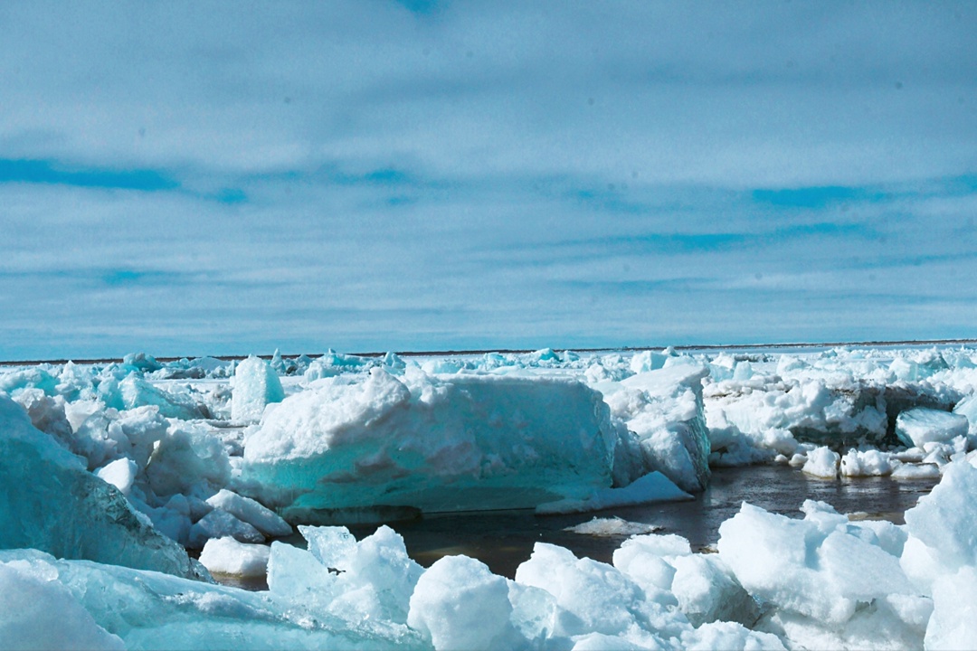 Как пережить жару? Лето только наступило — а некоторые регионы уже изнывают от жары