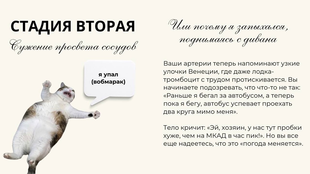 #ПростыеПравила: Стадии принятия гиперхолестеринемии