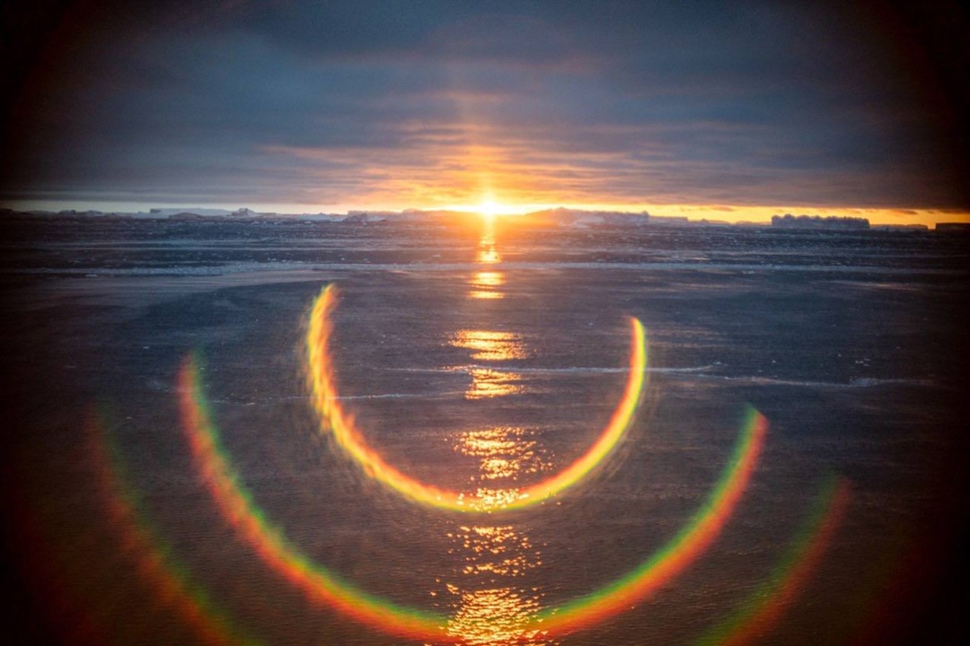 Экстремальное испытание: «Зенитар» на ледяных просторах Антарктиды