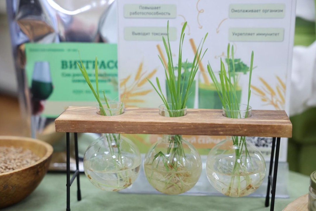 Костромская ГСХА занимается подготовкой профессиональных кадров для АПК региона