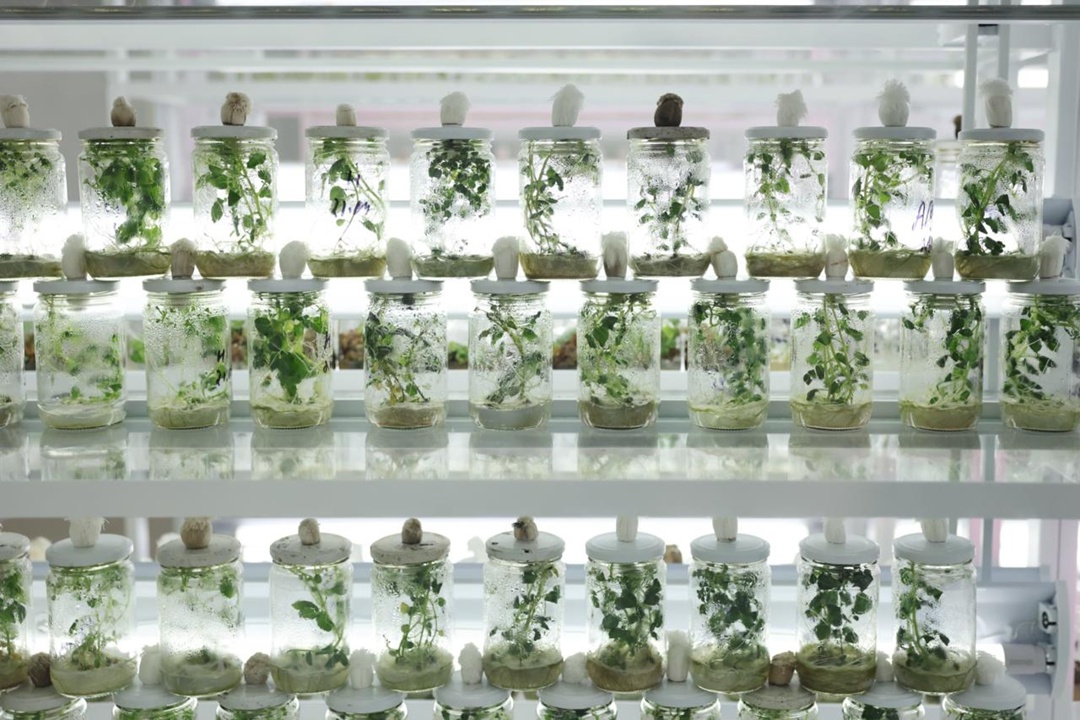 Костромская ГСХА занимается подготовкой профессиональных кадров для АПК региона