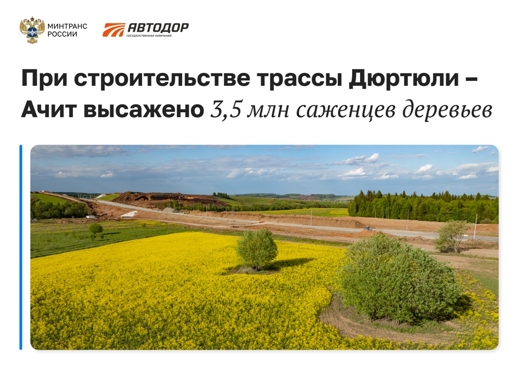 «Зеленая страна»: как «Автодор» восстанавливает окружающую среду при строительстве трасс?