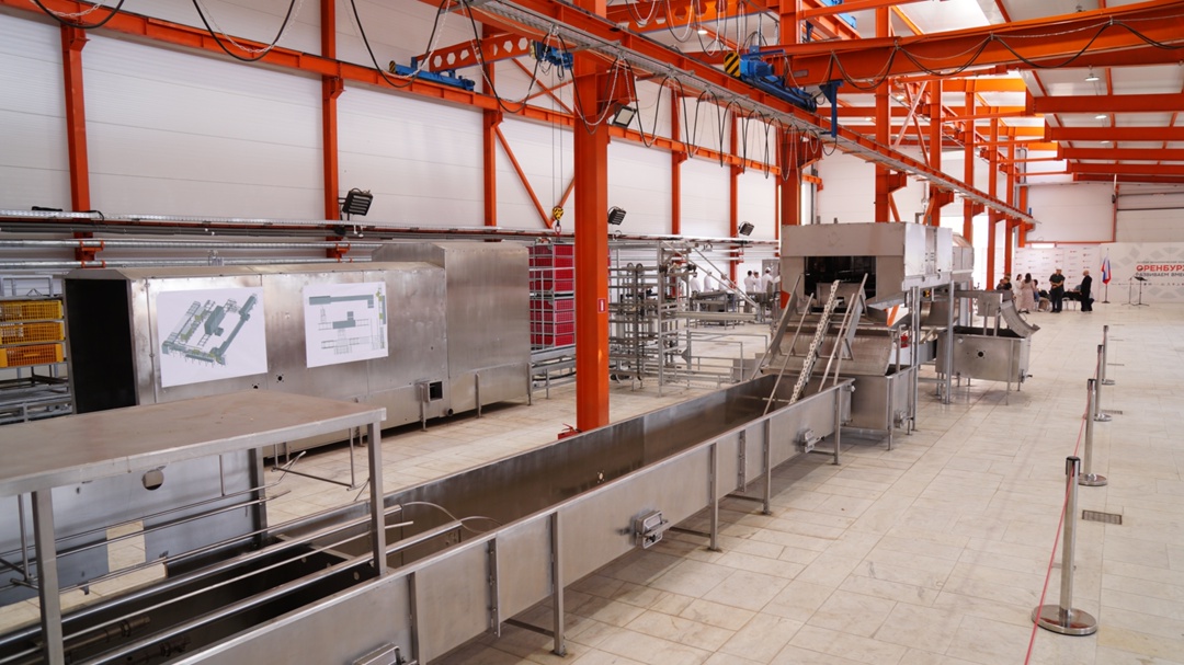 Мясной апгрейд «Оренбургский завод автоматизации и роботизации» знает, как упаковать и колбасу и сосиску