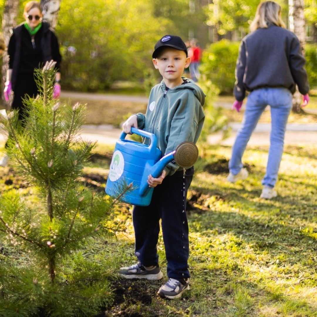 Друзья, каждый из нас мечтает жить в чистом, ухоженном дворе, иметь рядом детскую и спортивную площадки, красивый сквер, гулять по ухоженным аллеям парка