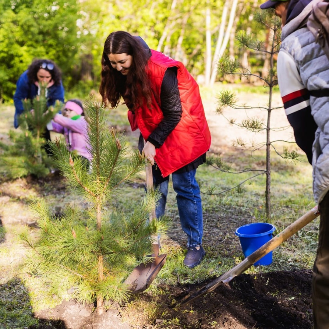 Друзья, каждый из нас мечтает жить в чистом, ухоженном дворе, иметь рядом детскую и спортивную площадки, красивый сквер, гулять по ухоженным аллеям парка