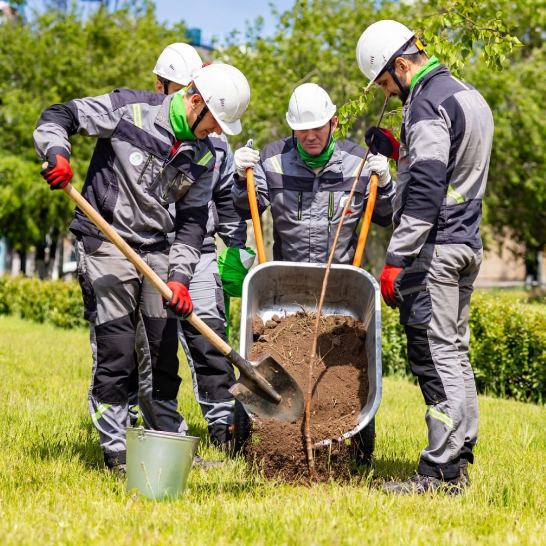 Друзья, каждый из нас мечтает жить в чистом, ухоженном дворе, иметь рядом детскую и спортивную площадки, красивый сквер, гулять по ухоженным аллеям парка
