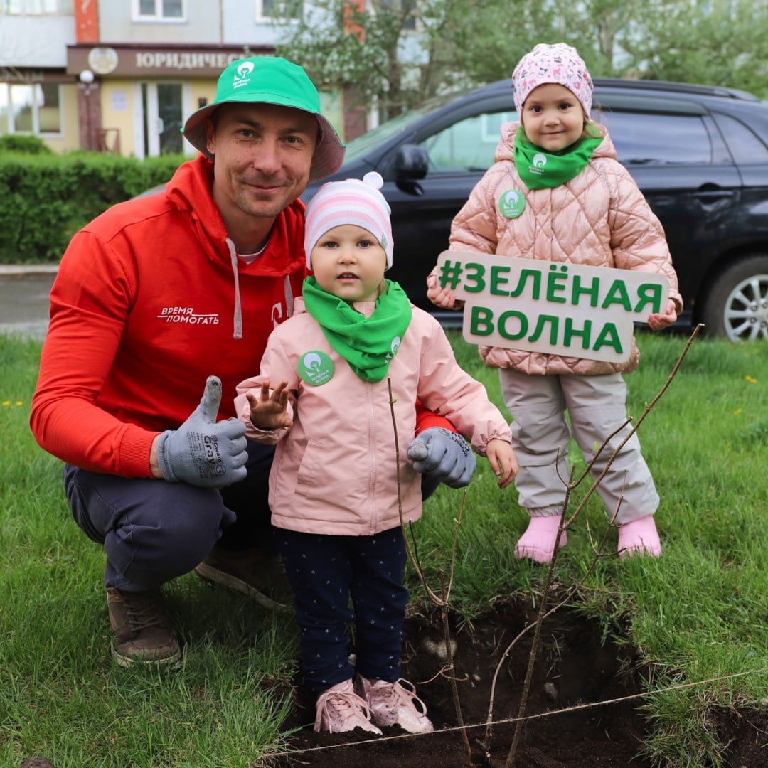 Друзья, каждый из нас мечтает жить в чистом, ухоженном дворе, иметь рядом детскую и спортивную площадки, красивый сквер, гулять по ухоженным аллеям парка