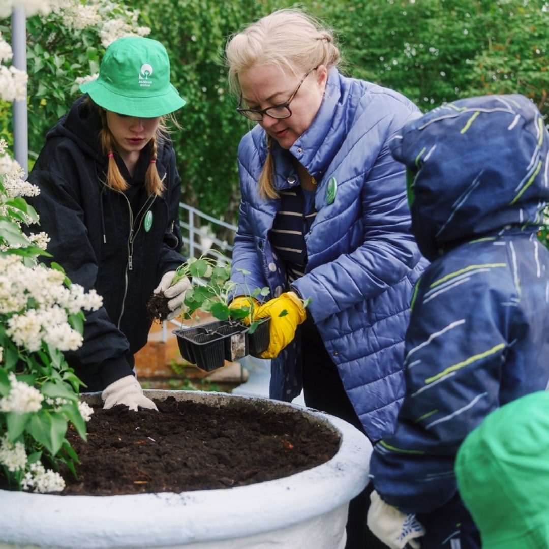 Друзья, каждый из нас мечтает жить в чистом, ухоженном дворе, иметь рядом детскую и спортивную площадки, красивый сквер, гулять по ухоженным аллеям парка