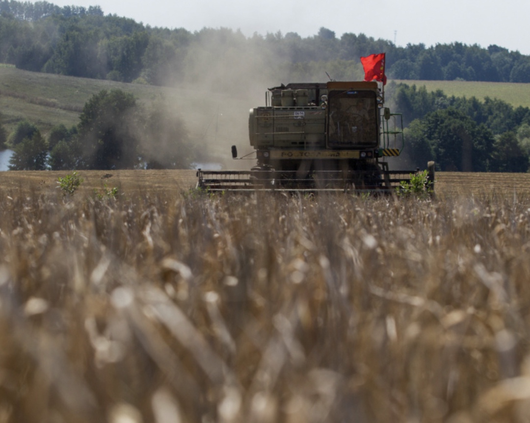 По имеющимся оценкам, урожай зерна в этом году составит не менее 135 млн т, сказал вице-премьер Дмитрий Патрушев на совещании, посвященном предварительным…