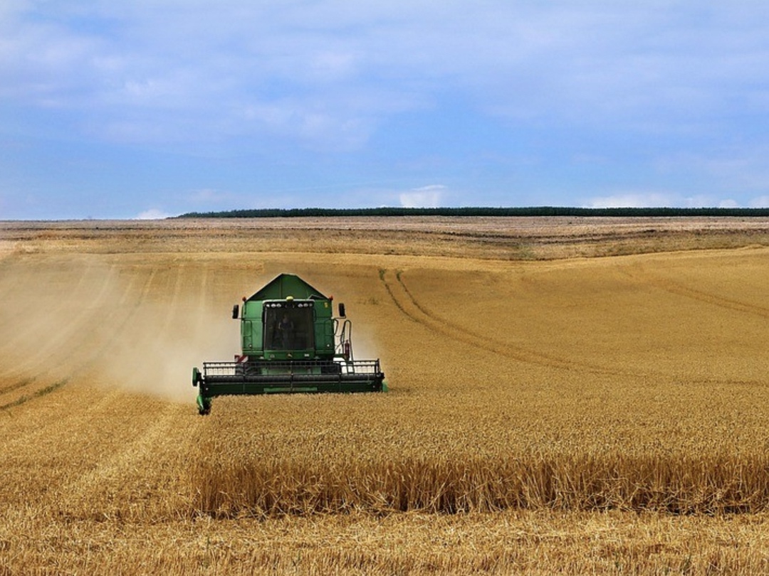 Аналитическая компания «ПроЗерно» повысила прогноз урожая зерновых и зернобобовых на 0,92 млн т, до 130,3 млн т (без учета новых регионов), что на 3,5% выше…