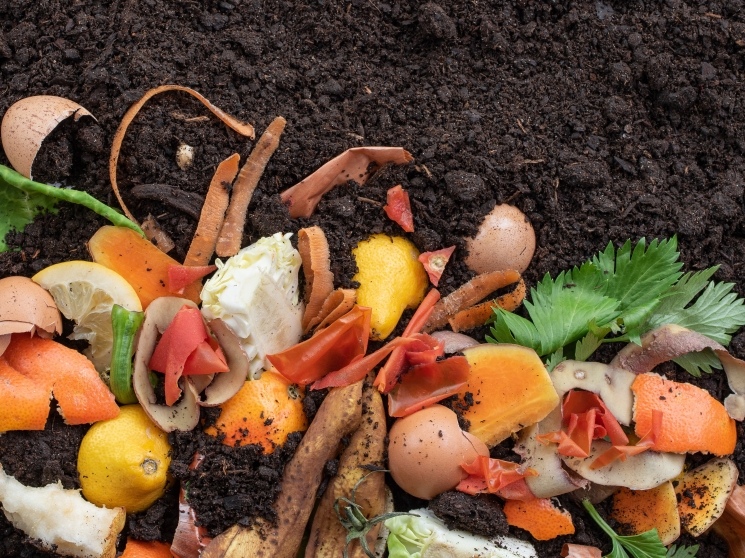 Экологическая модернизация. Как разные страны переосмысливают управление органическими отходами — Журнал «Агроинвестор»