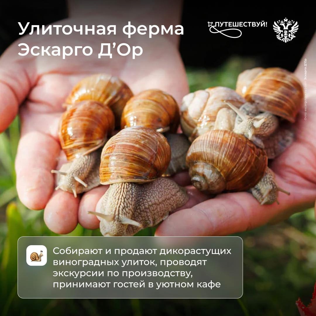 Поехал на сыроварню, посетил местную пасеку, отдохнул в глэмпинге на природе