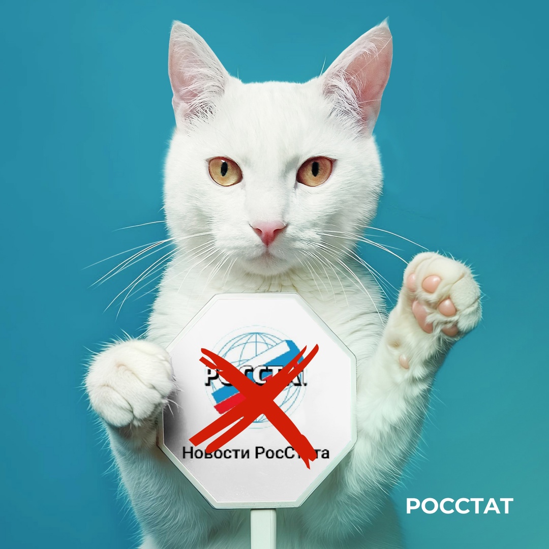 У Росстата только один официальный Telegram-канал!