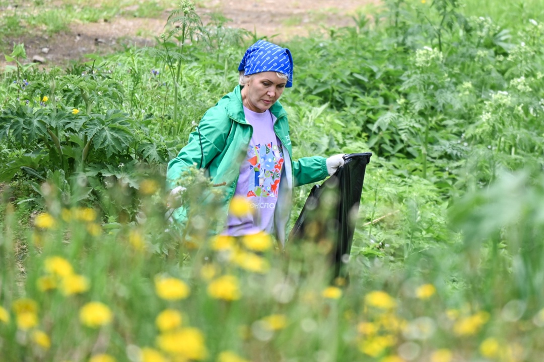 «Понеслось»: в Красноярске начался волонтерский сезон