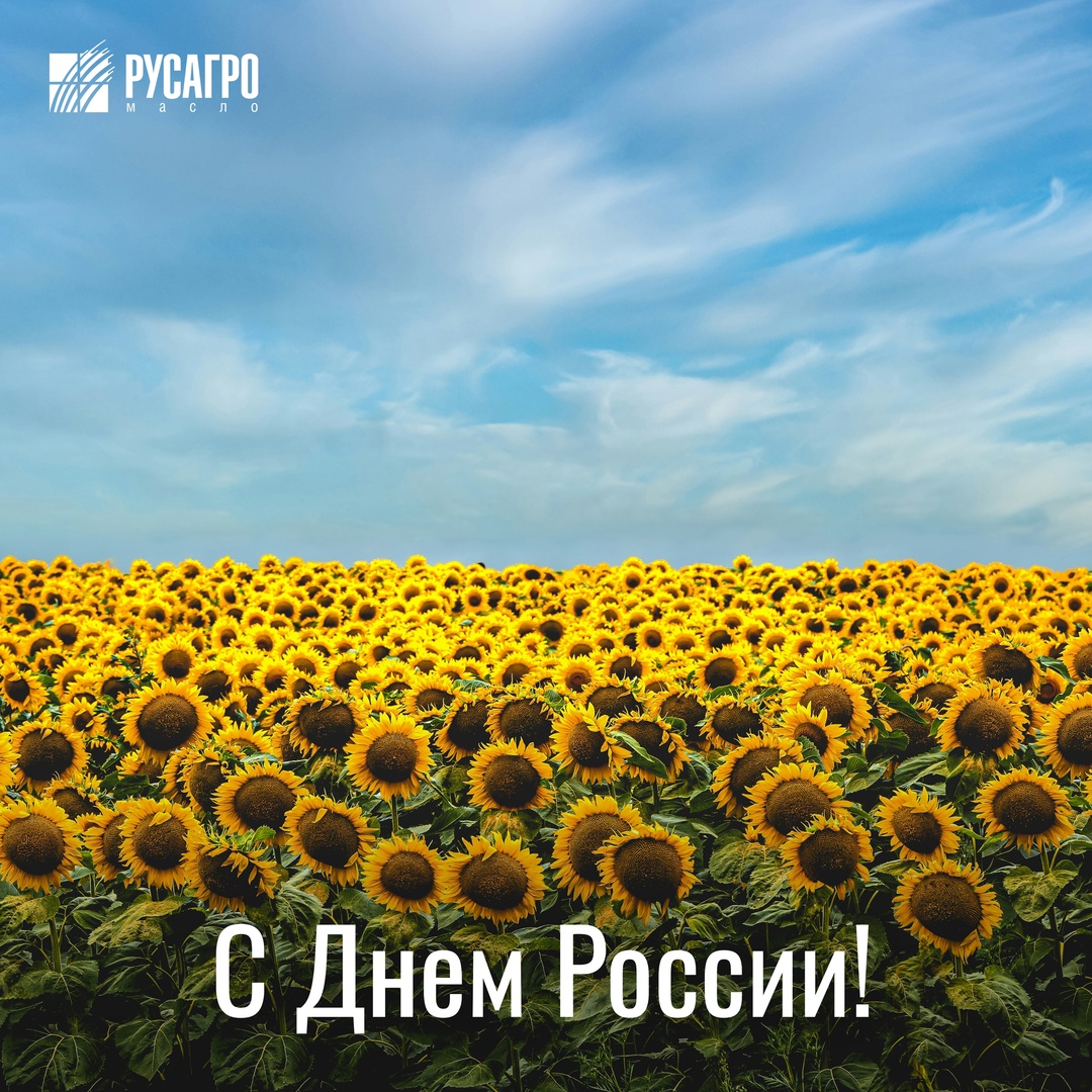 Сегодня вся страна отмечает День России