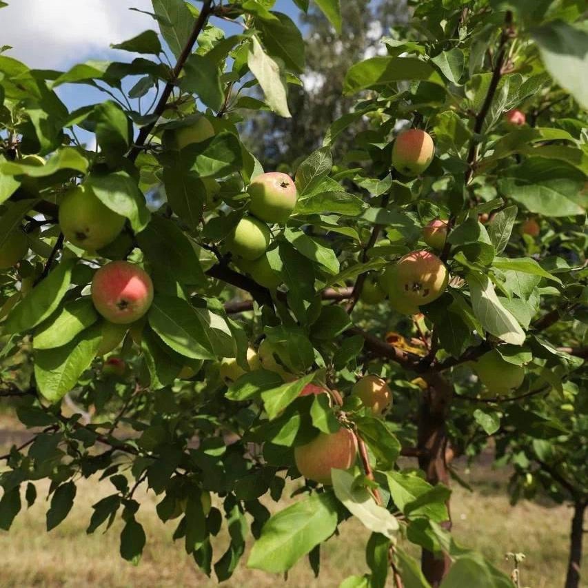«Край земли» – больше, чем просто проект»