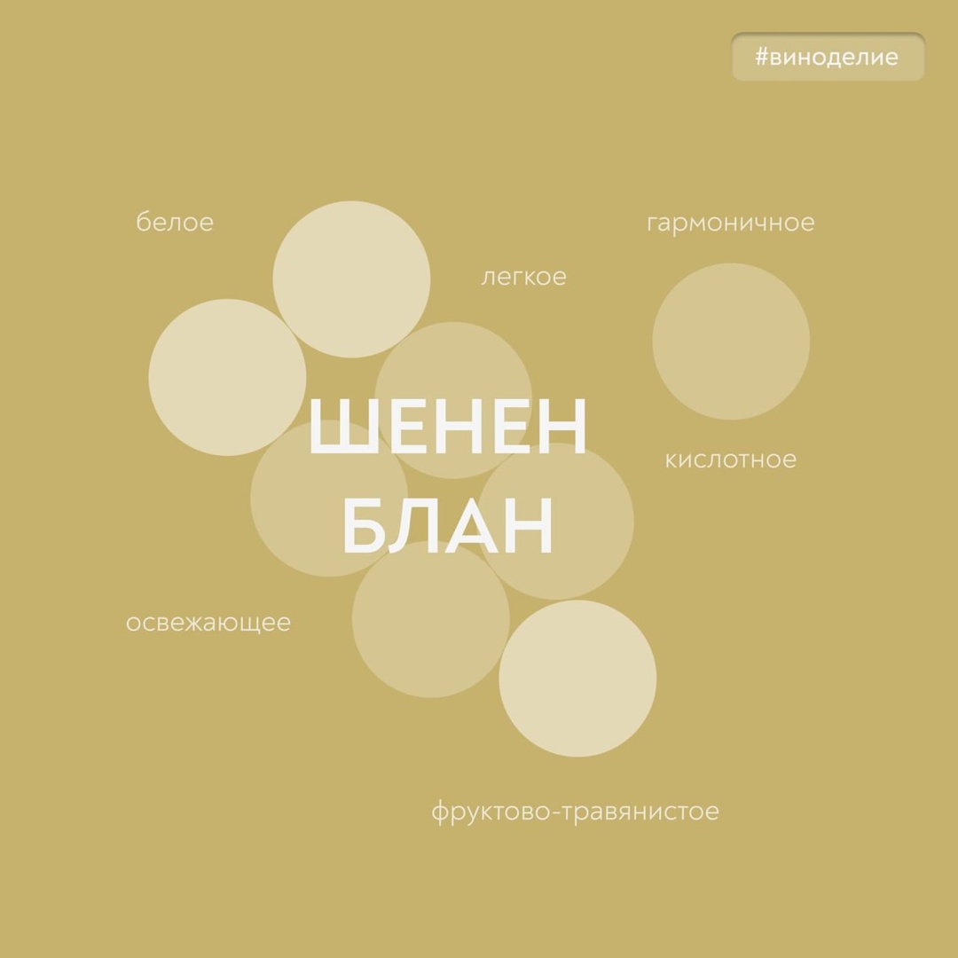 Вино, у которого все впереди Сегодня в нашей совместной с «Винным гидом России» рубрике #вино_недели – ароматный, яркий и многогранный Шенен Блан!