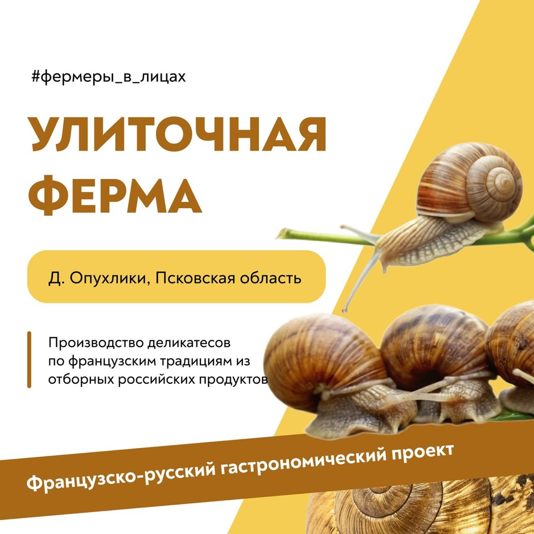 «Главное – влюбиться в своё дело» Алексей Корочкин из Псковской области – предприниматель и основатель необычного фермерского проекта