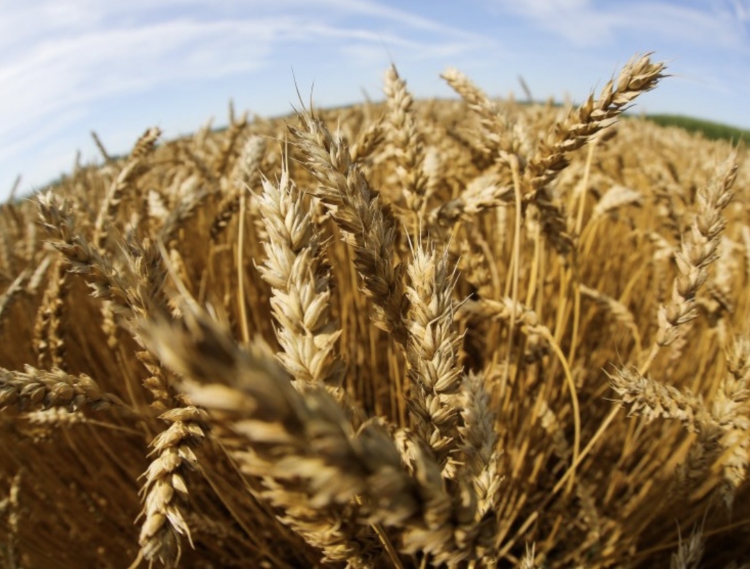 Самое интересное за неделю с 9 по 15 июня