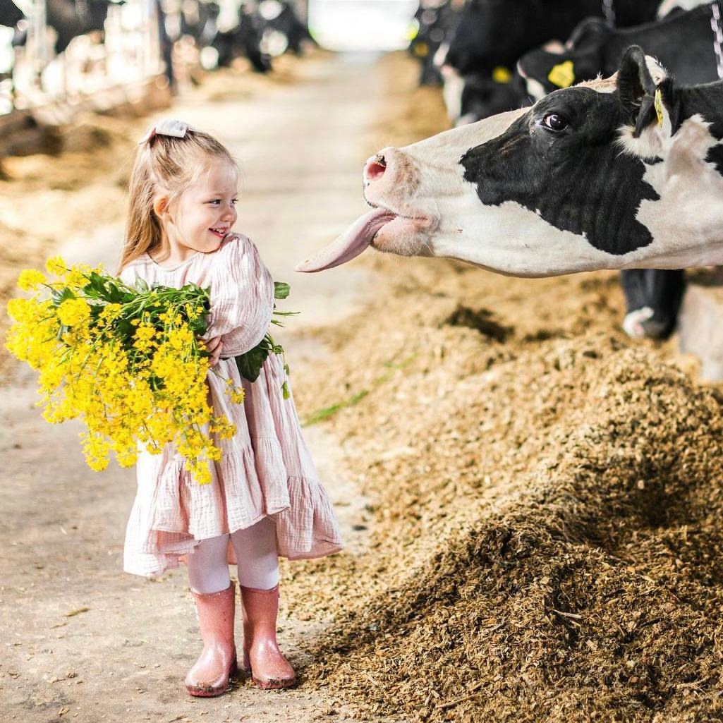 «Хотим быть примером для других хозяйств» – ферма Цветковых