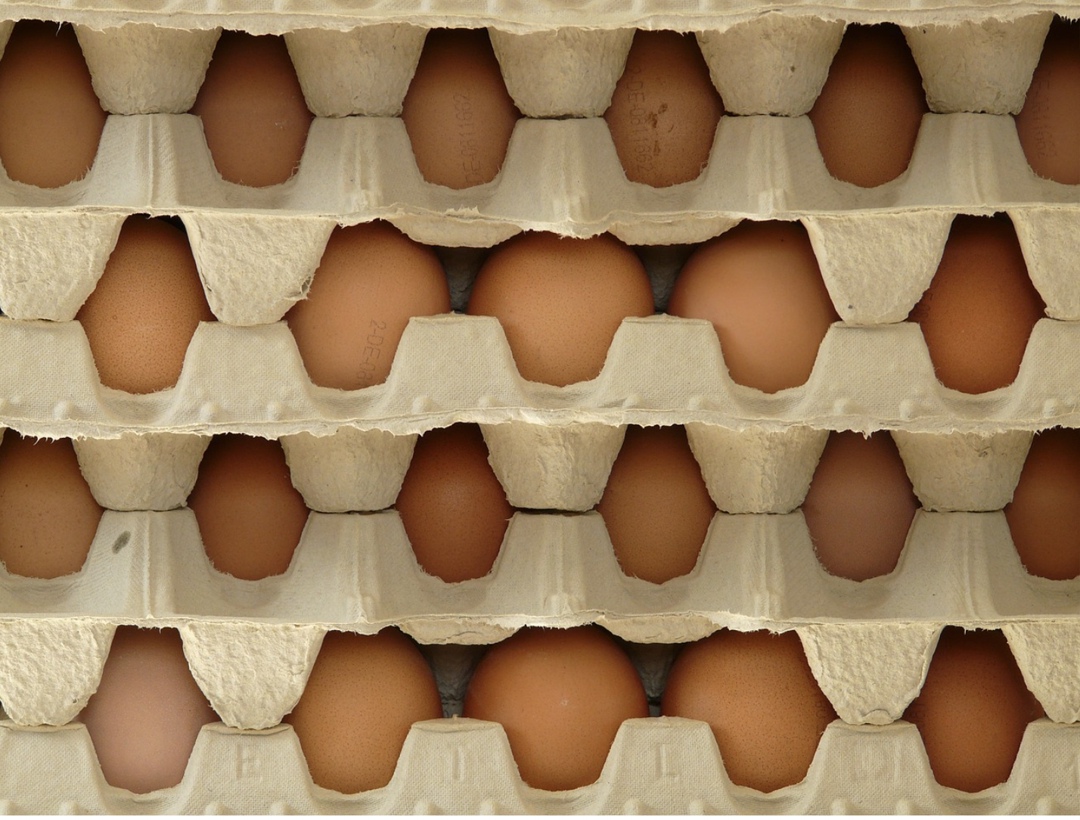 По данным Росстата, за неделю с 3 по 9 июня розничные цены на яйца снизились более чем на 2%, а по сравнению с концом прошлого года они подешевели на 19,4%. В…