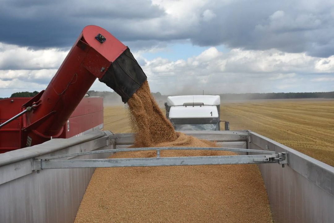 Для Калининградской области будет установлена нулевая ставка вывозной таможенной пошлины на экспорт 233 тыс. т пшеницы и 135 тыс