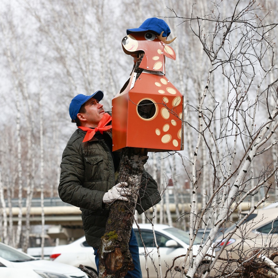 Как «увидеть» нефть в недрах Арктики с помощью цифровых технологий — знает геолог-модельер Олег Пырчак