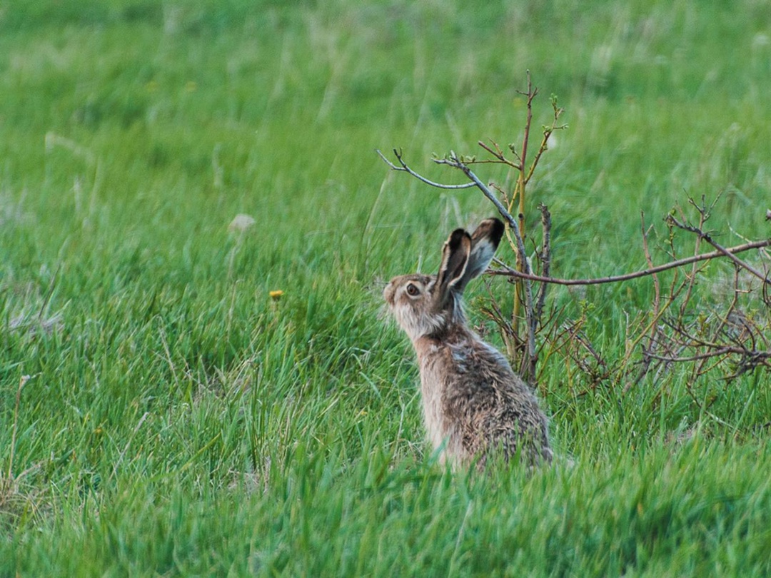 «Татнефть» приобрела 12 фотокамер для «Нижней Камы»
