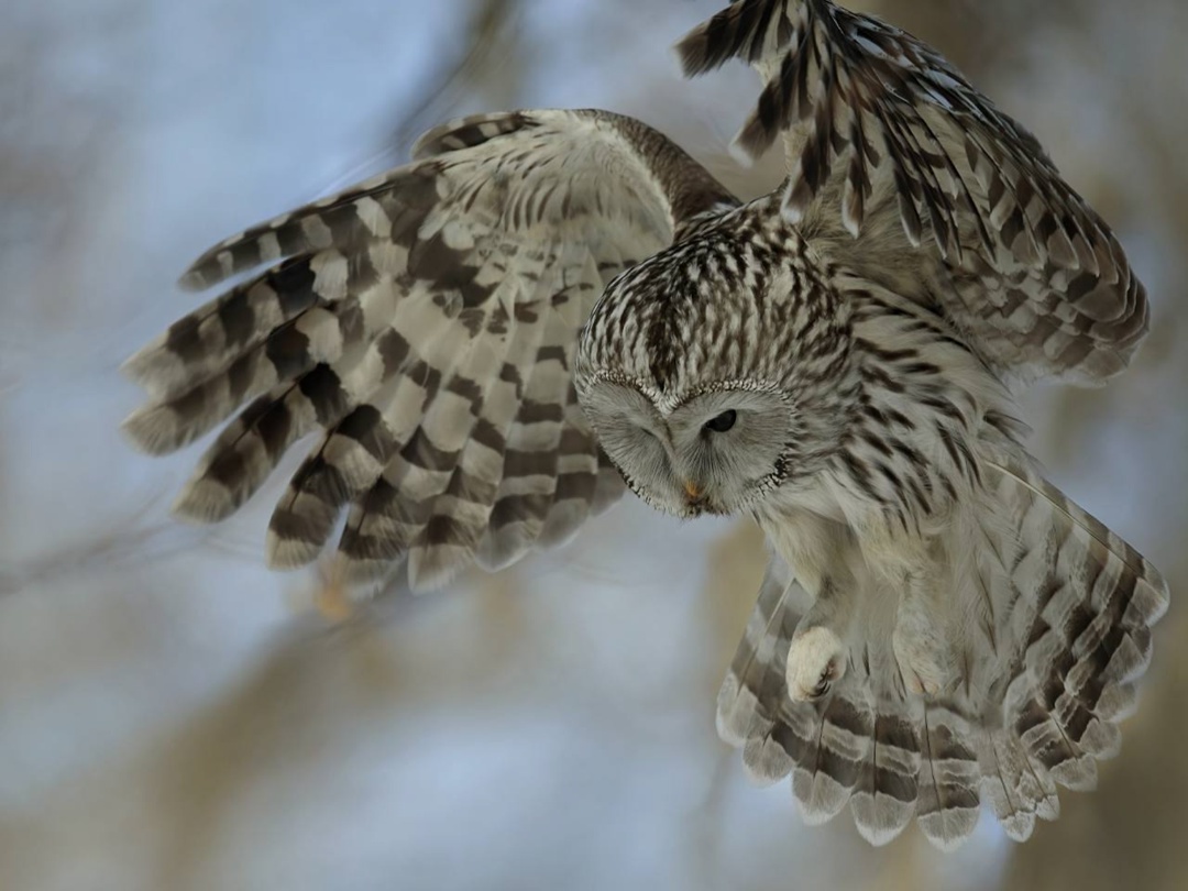 «Татнефть» приобрела 12 фотокамер для «Нижней Камы»