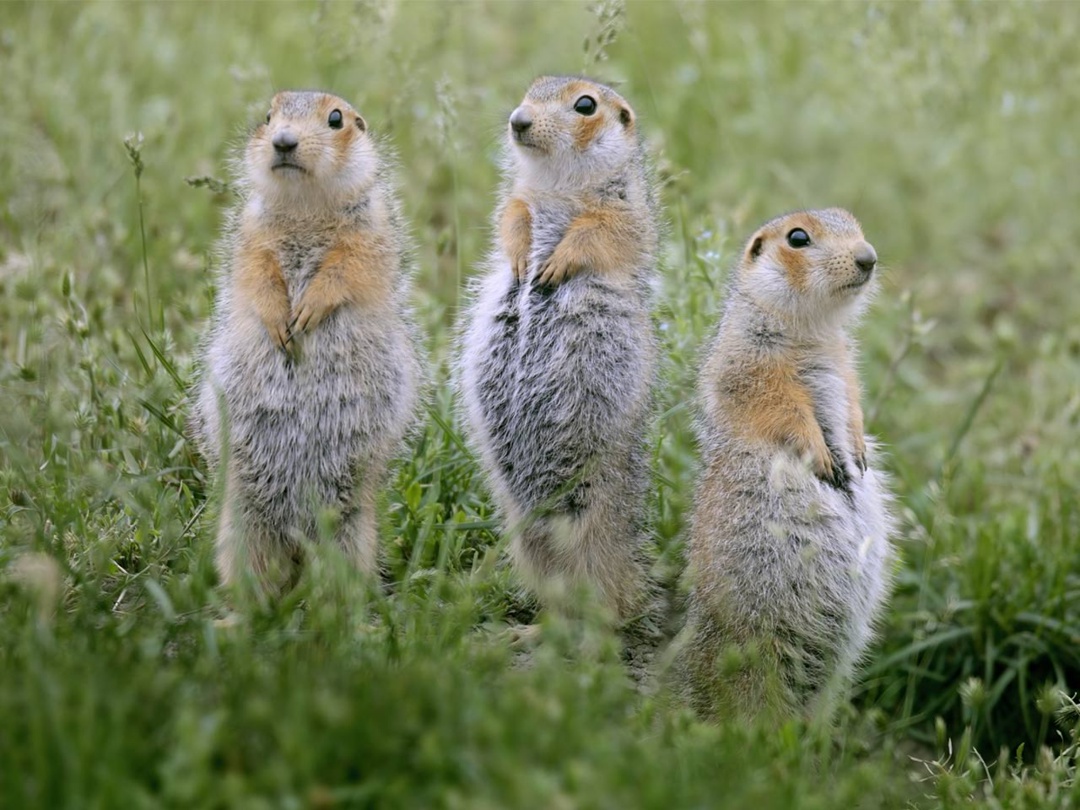 «Татнефть» приобрела 12 фотокамер для «Нижней Камы»