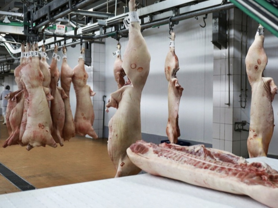 Правительство Ленинградской области и «Мясоперерабатывающий комбинат “Тосненский”» (входит в группу «Таврос») в ходе Петербургского международного…