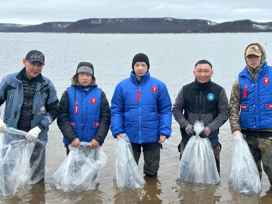 АЛРОСА продолжает сезон зарыбления рек Якутии. Эстафету подхватила компания "Алмазы Анабара", выпустив в реку Анабар почти полтора миллиона личинок чира.