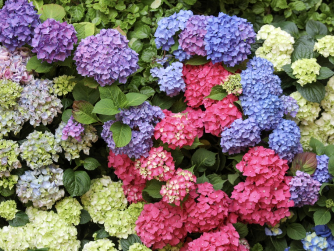 Правительство Тульской области в ходе Петербургского международного экономического форума (ПМЭФ) заключило ряд соглашений о реализации инвестпроектов в АПК.…