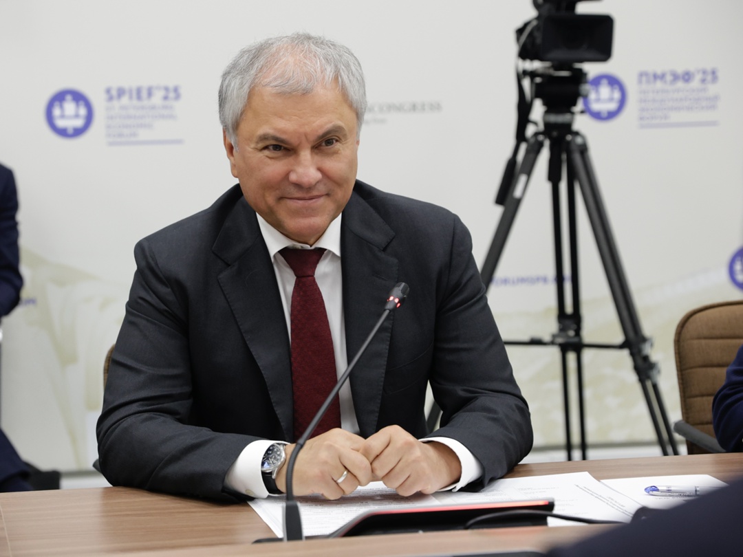 Председатель ГД Вячеслав Володин провел встречу с вице-президентом Южно-Африканской Республики Полом Шипокоса Машатиле.