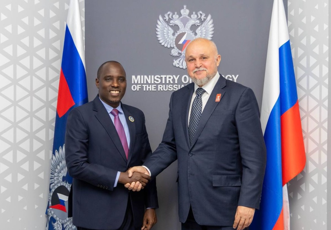 Сергей Цивилев и Битеко Дото Машака обсудили энергостратегии России и Танзании