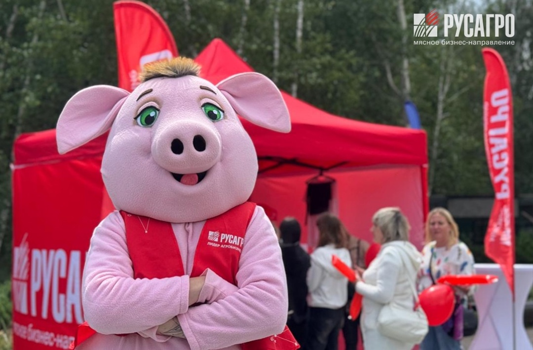 Отмечаем День семьи вместе! Прямо сейчас более 1700 сотрудников компании из Белгородской области стали участниками масштабного корпоративного праздника - Дня…