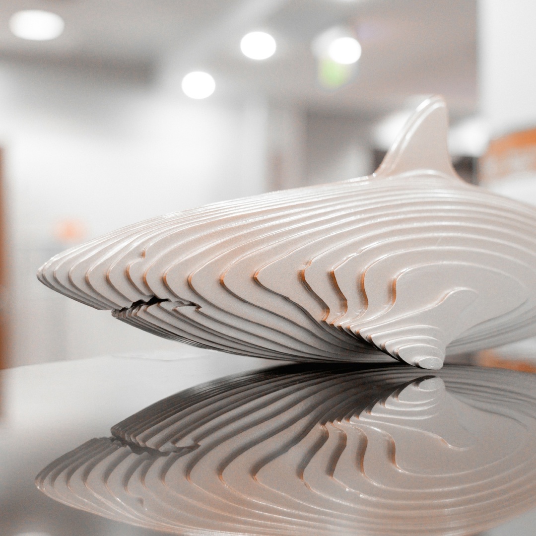 Пока одни пытаются сажать «алюминиевые огурцы на брезентовом поле», другие вывели новый вид акул, тоже, к слову, из нашего любимого металла.