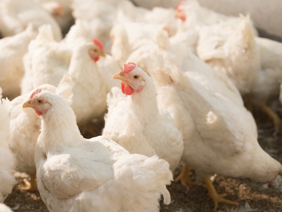 ГАП «Ресурс» запускает трехлетнюю инвестиционную программу общей стоимостью свыше 40 млрд руб., пишет «Коммерсантъ» со ссылкой на компанию