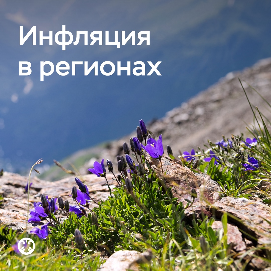 Почти в половине российских регионов рост цен в мае был вблизи 4% в пересчете на год