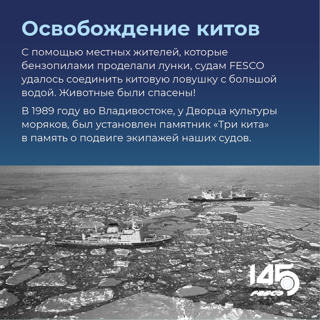 Спасение китов: событие, которое никого не оставило равнодушным