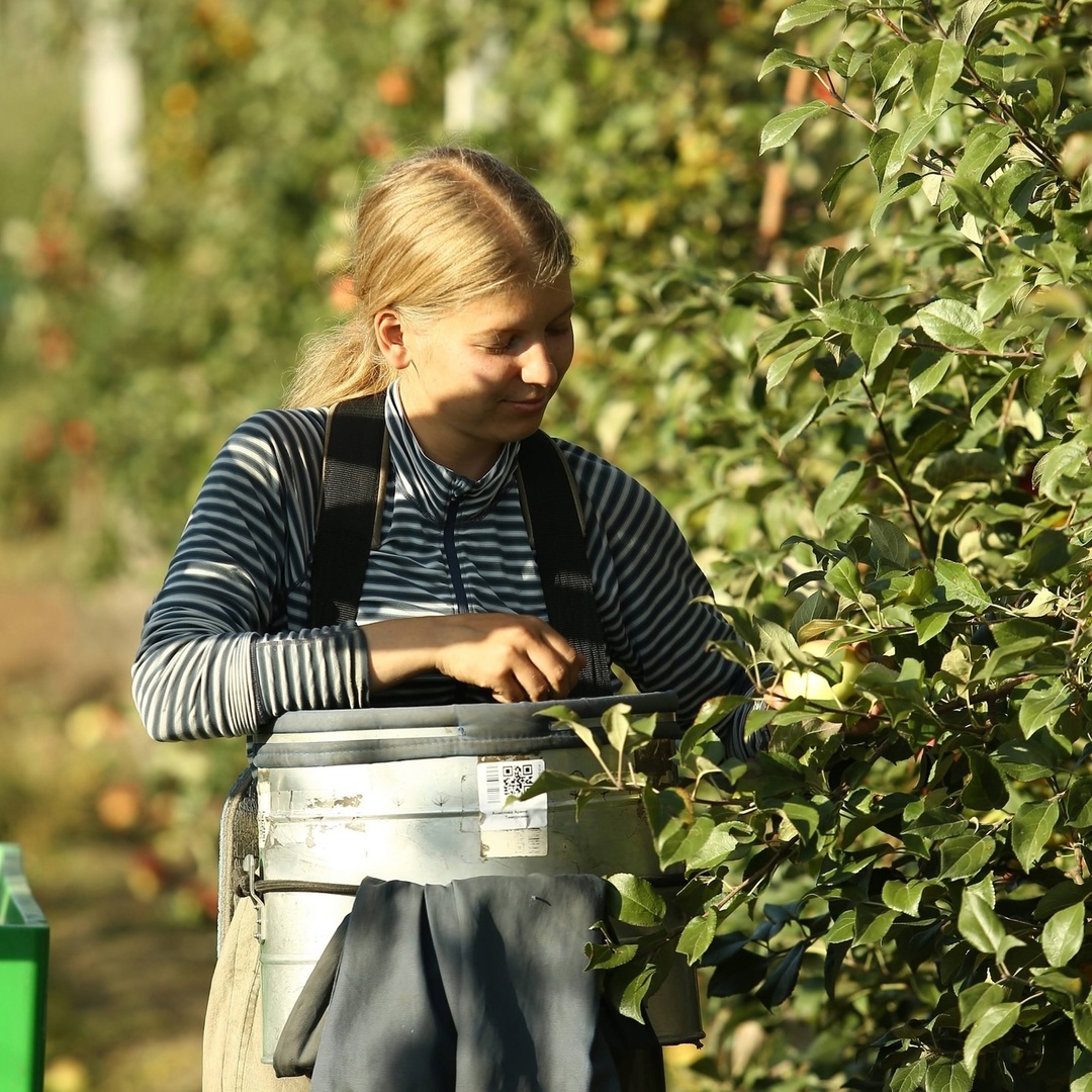Лето – время практики! И не только учебной