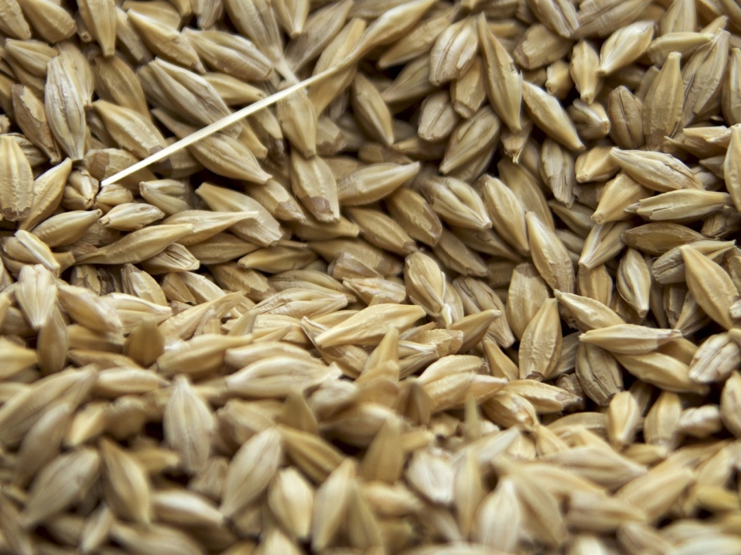 Цены спроса на российскую пшеницу с протеином 12,5% с поставкой в июле после падения на предыдущей неделе на прошлой неделе выросли на $5/т, до $226-227т/FOB,…