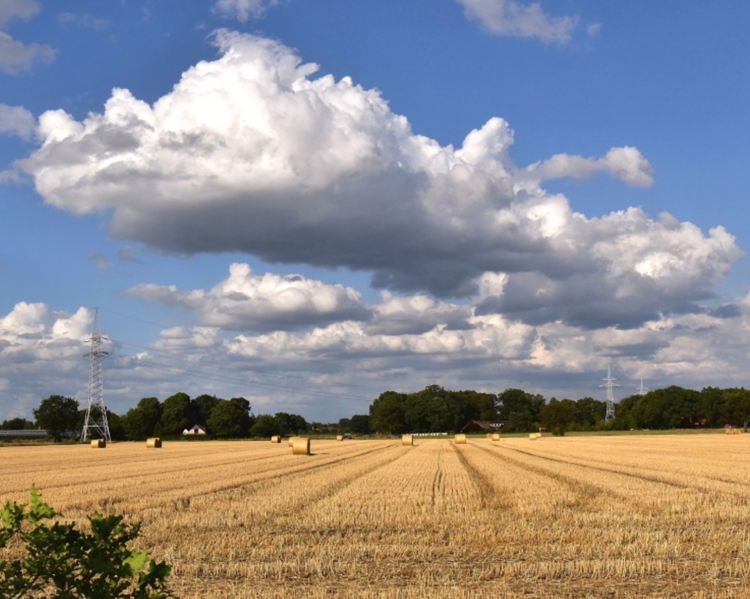 Площадь сева пшеницы с учетом гибели озимых в этом году снизится до 27 млн га с 27,5 млн га в 2024-м, пишет «Интерфакс» со ссылкой на…