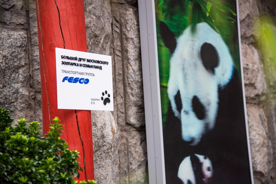 Вот теперь официально: стали настоящим большим другом семейства больших панд!