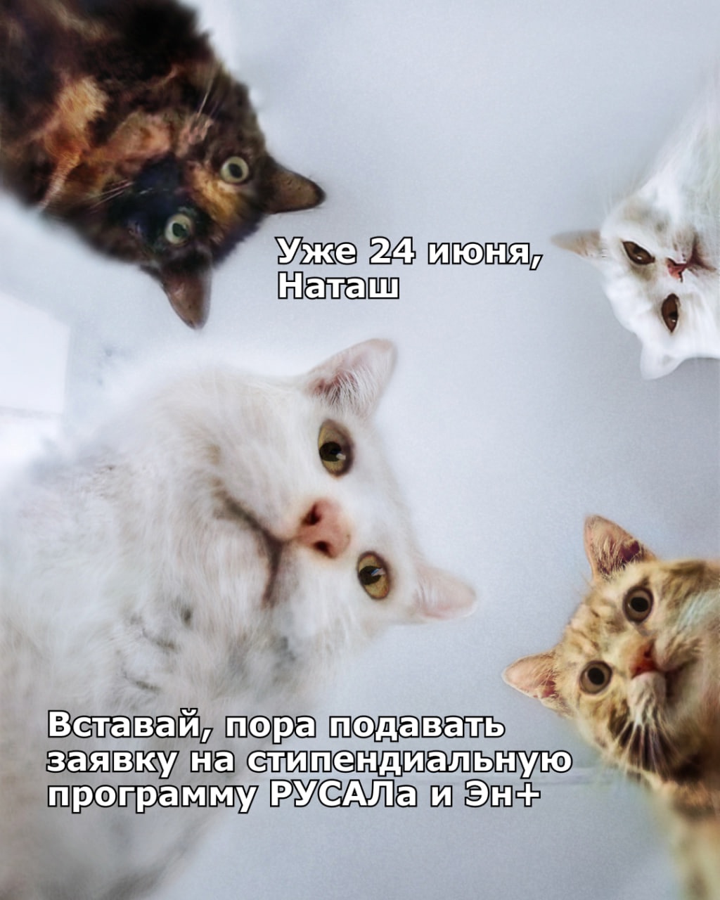 В нашей компании работа со студентами — это не только возможность пополнить резерв специалистов, но и постоянный поиск новых форм сотрудничества с молодежью,…