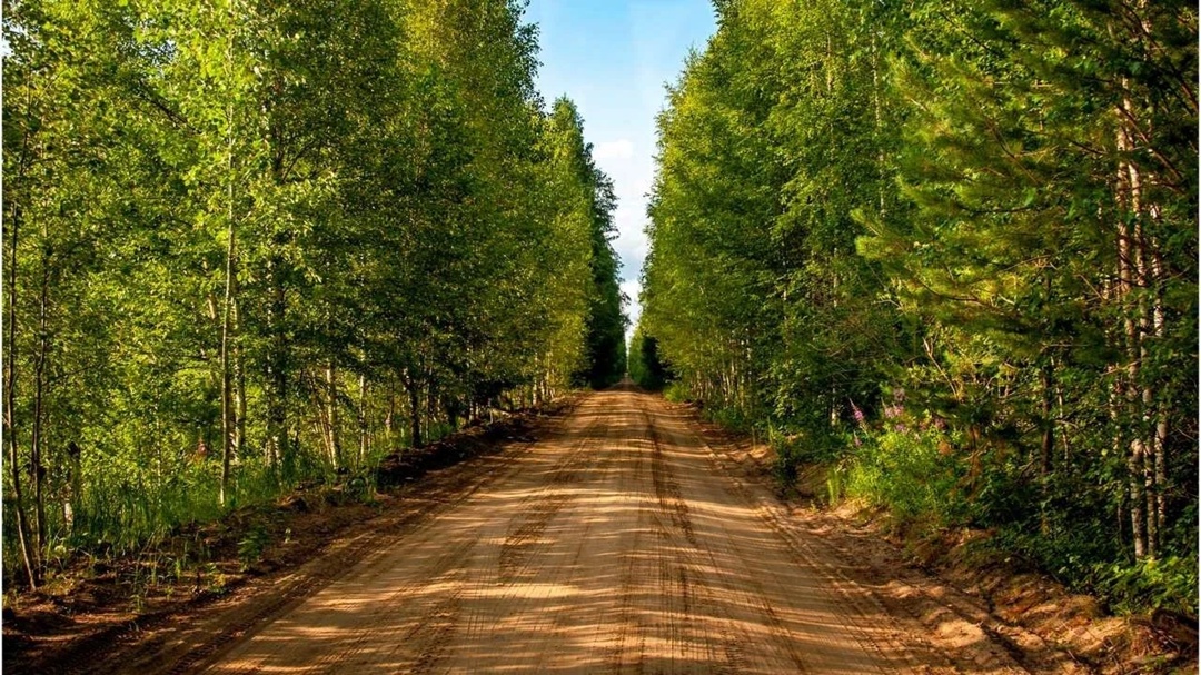 Определен правовой механизм создания и эксплуатации лесных дорог
