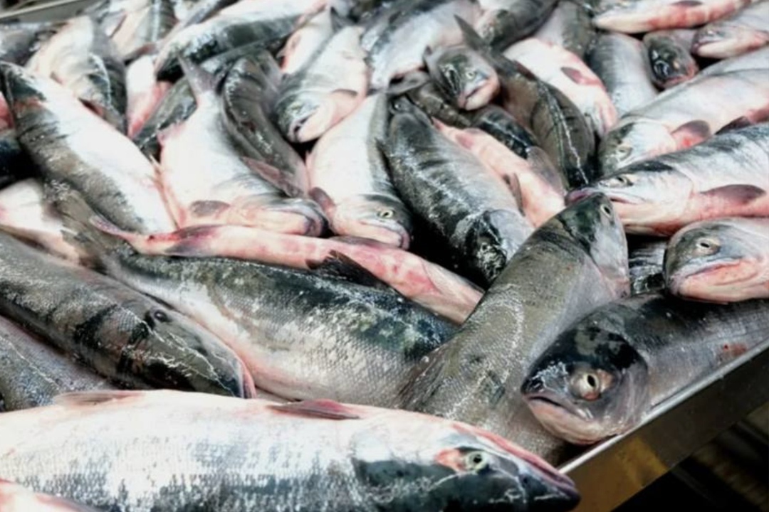 С начала года по 15 июня Россия поставила в Китай продукции АПК на $3,1 млрд, что на 8% больше, чем годом ранее, сообщил руководитель федерального центра…