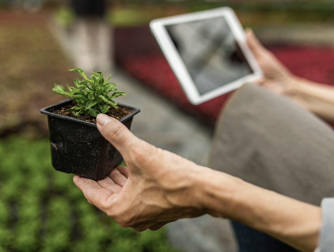 Согласно проведенному ГК «КОРУС Консалтинг» исследованию «Тренды цифровизации АПК 2025» (есть у «Агроинвестора») лидерами по уровню цифровизации в отрасли…
