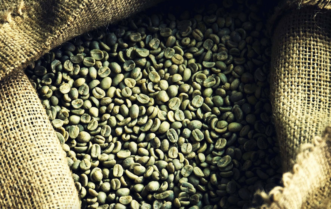 Бывший владелец белгородского агрохолдинга «Промагро» предприниматель Константин Клюка запустил международного B2B-трейдера под брендом Gilgamesh